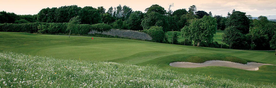 Ballyneety Golf Club, golf society